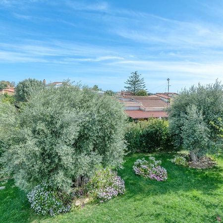 La Casa Degli Ulivi Appartamento In Villa Con Patio Quartu SantʼElena Εξωτερικό φωτογραφία